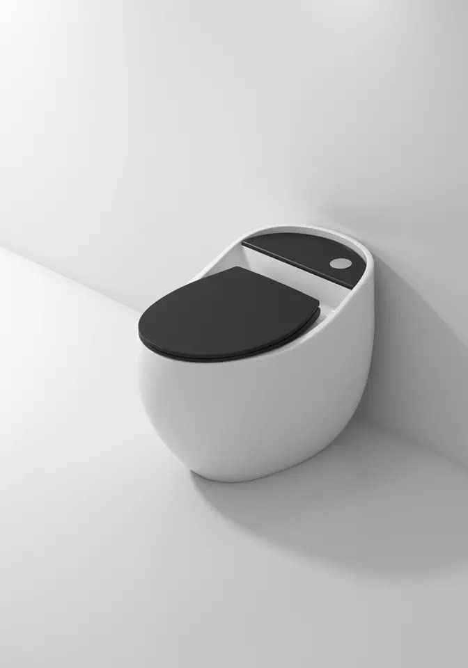 Premium sanitaryware one piece western toilet for modern Indian bathroom, glossy white and black egg-shaped commode