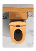 One piece ceramic toilet commode in modern bathroom setting, grey matt western commode single piece installed