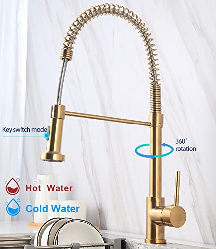 Detail of brass pull out kitchen sink tap showing spring coil neck and flexible pull down hose