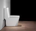 InArt black and white western toilet commode in contemporary bathroom setting, floor mounted one piece WC