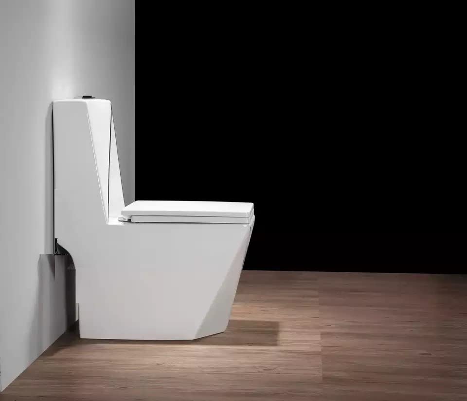 InArt black and white western toilet commode in contemporary bathroom setting, floor mounted one piece WC