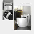 InArt ceramic one piece western toilet commode with syphonic washdown, dual flush and S-trap for Indian homes