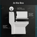 European water closet floor mounted base and concealed trap detail, glossy white ceramic western commode