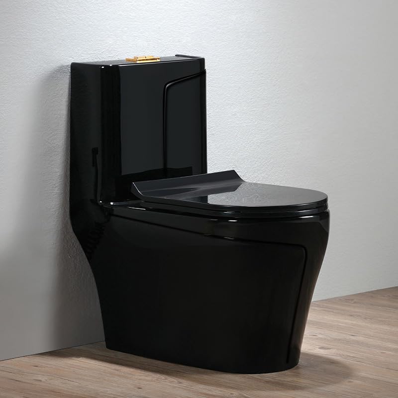 InArt ceramic one piece western toilet commode, oval rimless black glossy finish, front view
