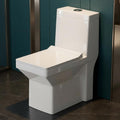 InArt single piece western toilet in glossy white ceramic, elongated floor mounted commode with flush tank