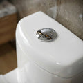 S-trap 9 inch outlet from floor detail on single piece western toilet, ceramic one piece closet