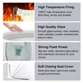 Single piece western toilet in glossy white ceramic with soft close seat, rear angle S-trap water closet