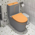 Close-up of rimless bowl and elongated seat on grey matt ceramic one piece western toilet for washroom
