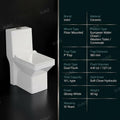 InArt soft close hydraulic toilet seat detail on single piece western toilet, glossy white ceramic finish
