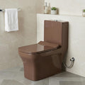Western toilet single piece with soft close seat cover, brown ceramic commode for modern bathroom