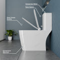 Square western toilet commode in glossy white porcelain, rimless bowl and soft close seat detail