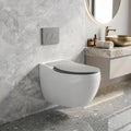 Close-up of glossy grey ceramic rim and bowl on InArt wall mount commode, premium sanitaryware detail