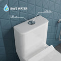 Close-up of soft close toilet seat on InArt ceramic one-piece western toilet, glossy white finish