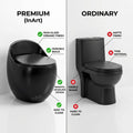 Modern bathroom interior with glossy black ceramic one piece western toilet, floor mounted rimless commode