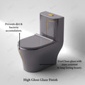 Western toilet one piece ceramic commode in grey, side angle showing oval rimless bowl and floor mounted base