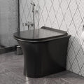 Buy black western toilet online InArt glossy black ceramic oval back to wall WC pan with soft close seat
