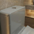 Close-up of soft close toilet seat hinge on grey ceramic one piece commode, premium sanitaryware detail
