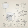 Premium sanitaryware for Indian bathroom, glossy white one piece western toilet with S trap and square design