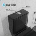 InArt S-trap floor mounted water closet with 9 inch rough-in, black ceramic one piece commode detail