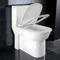 Western commode single piece in glossy white ceramic, 3/4 angle view with soft close seat on InArt EWC