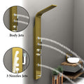 Gold finish shower panel set showing multi-function hand shower and hose, premium bathroom fitting detail