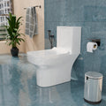 6D syphonic flush one piece closet in glossy white, powerful swirl flush detail for Indian washroom