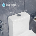 InArt square western toilet commode, close-up of rimless bowl and glossy white porcelain finish