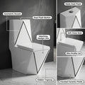 Single piece western commode with soft close seat cover, oval ceramic one piece toilet, side angle