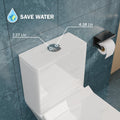 Soft close toilet seat on InArt one-piece ceramic water closet, elongated commode lid and hinge close-up