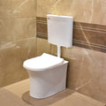 InArt ceramic western toilet in white with plastic flush tank, floor mounted EWC commode main front view
