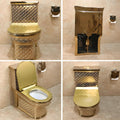 Ceramic western toilet in gold, oval one piece closet rear angle showing S-trap outlet and sleek tank