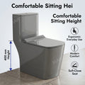 Rectangular ceramic one piece commode overall dimensions and shape view