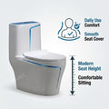 Top view of commode bowl with glossy stain-resistant glaze finish