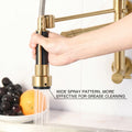 Brushed gold sink cock tap for kitchen with pull-down sprayer and premium brass body