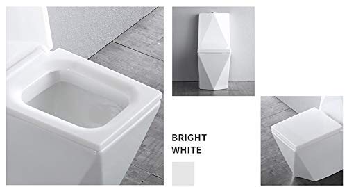 InArt Western Floor Mounted One Piece Water Closet European Ceramic Western Toilet Commode S-Trap Square White - InArt-Studio