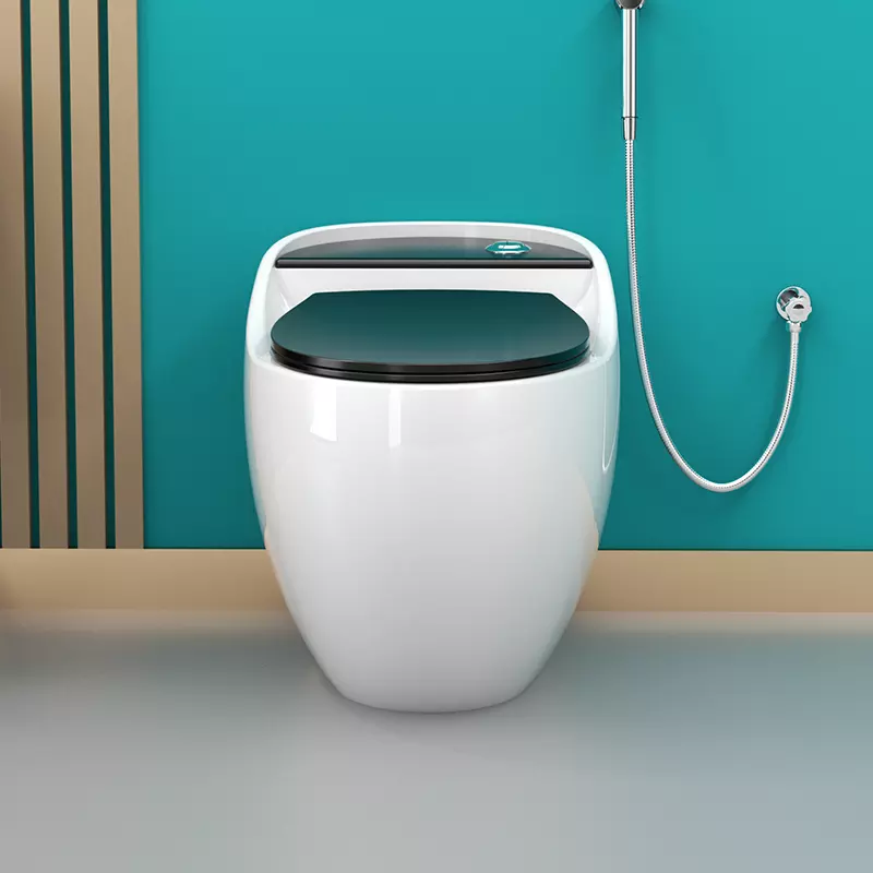 InArt Syphonic Washdown Flush Ceramic One Piece Western Toilet Commode - Water Closet Black White Glossy - InArt-Studio