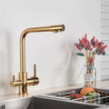InArt Single Lever Kitchen Sink Mixer Tap Faucet With Ro Drinking Water Filter Tap Golden Color - InArt-Studio