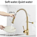 InArt Single Lever Kitchen Sink Mixer 360° Pull-Down Sprayer Kitchen Faucet with Multi-Function Spray Head, Gold Finish - InArt-Studio